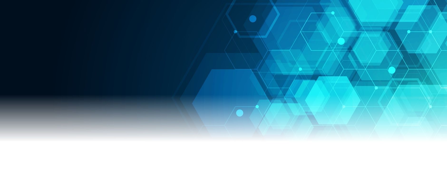 Holy Blood Education Services