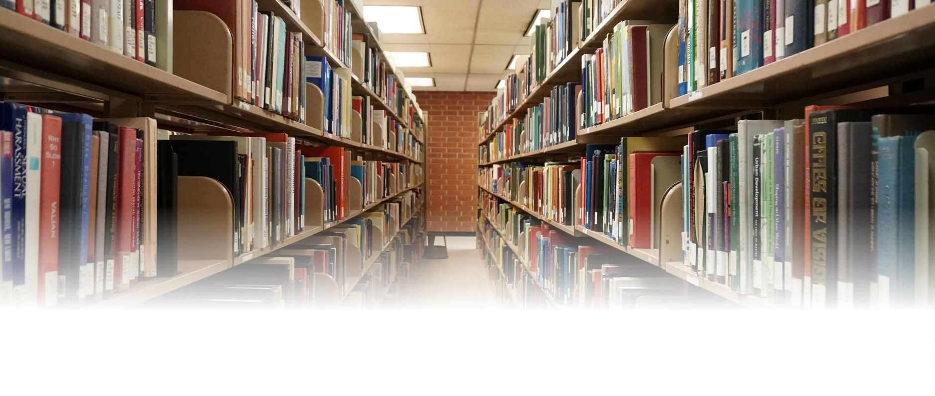 Vision World Library Parichha