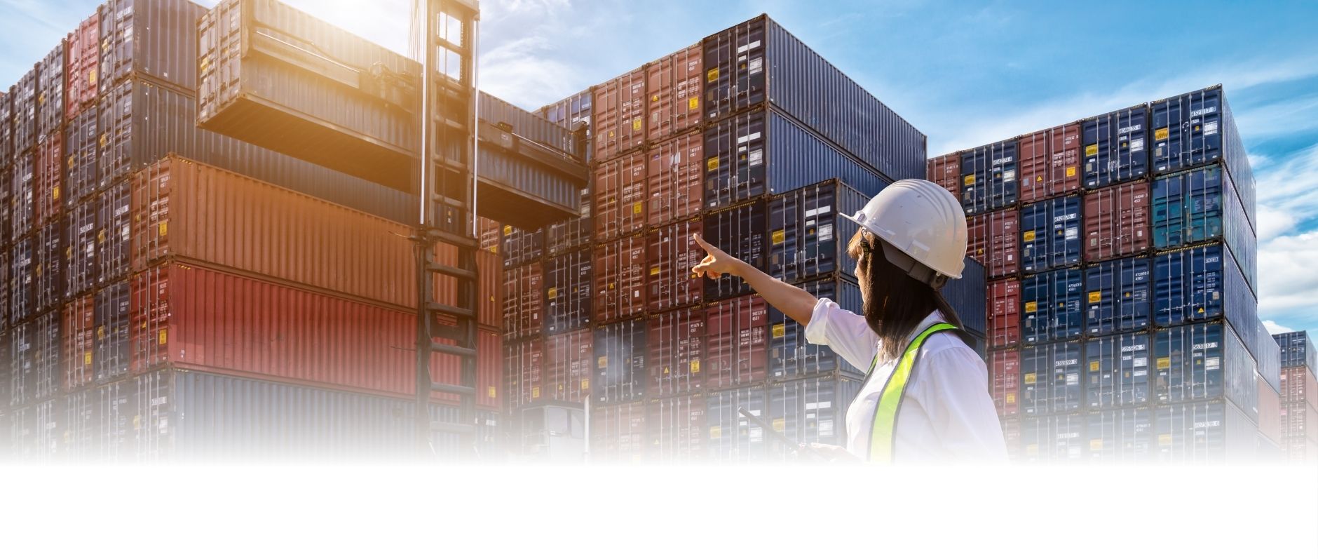 Dawood Export Import Opc Private Limited