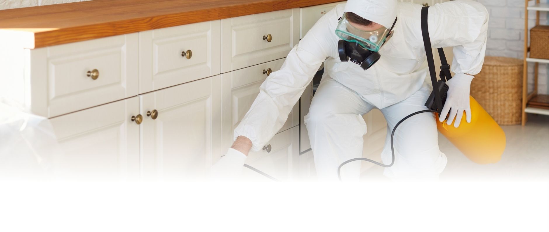 Saurabh Pest Control