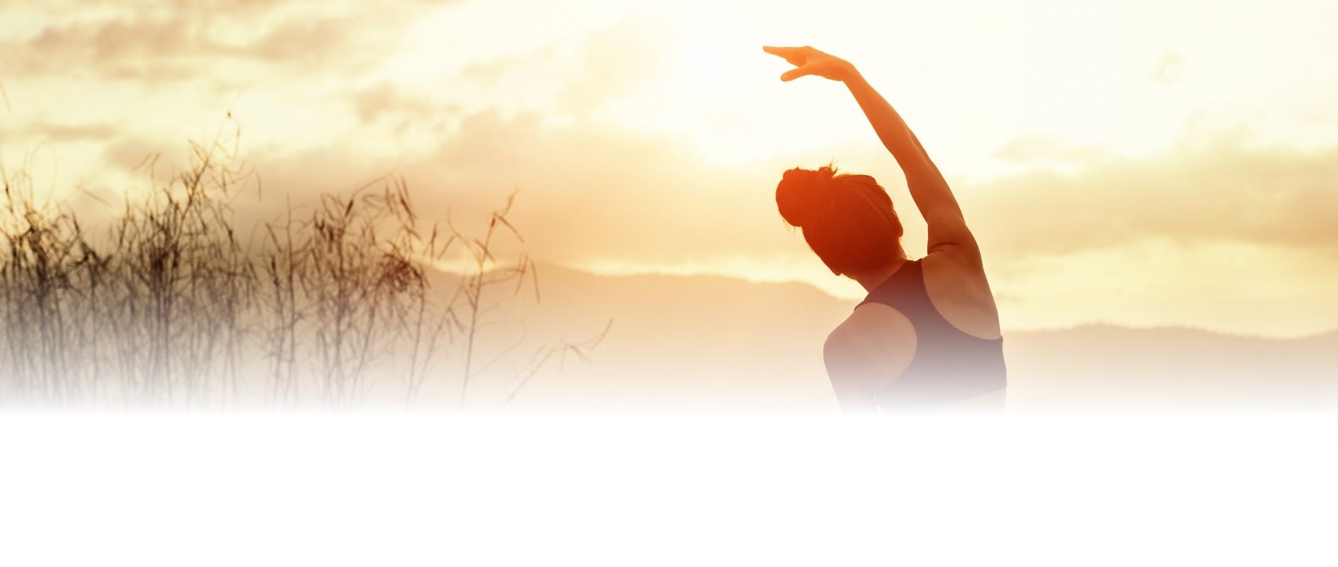 R S Yoga & Fitness and R S Spoken English Institute
