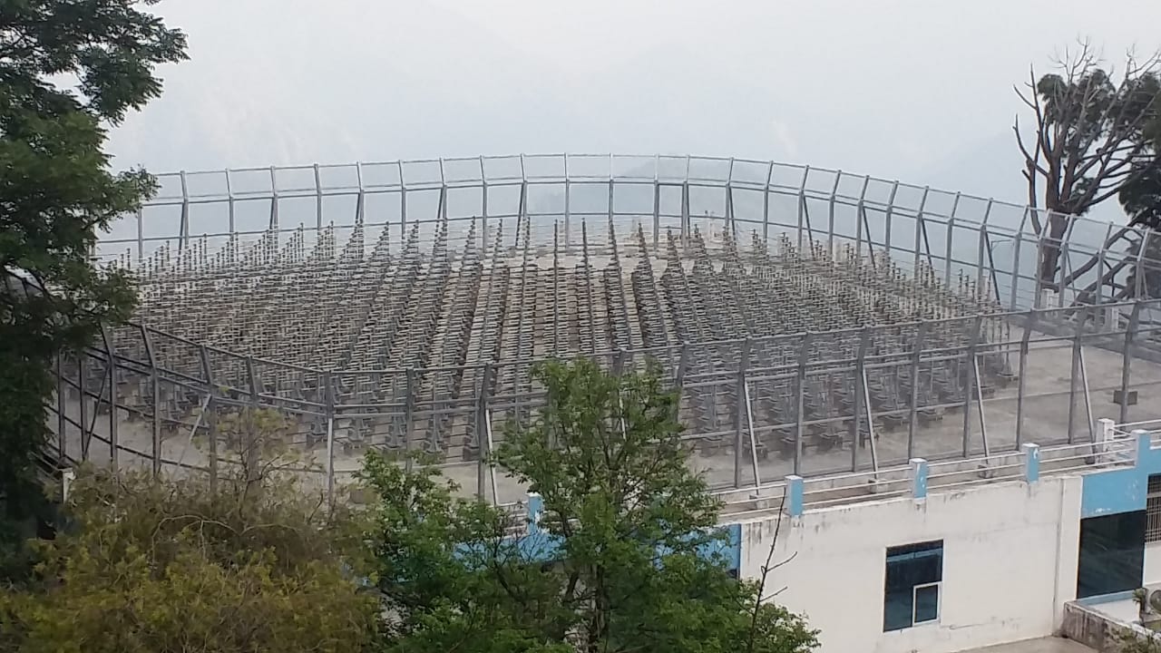 Holy Blood Education Services