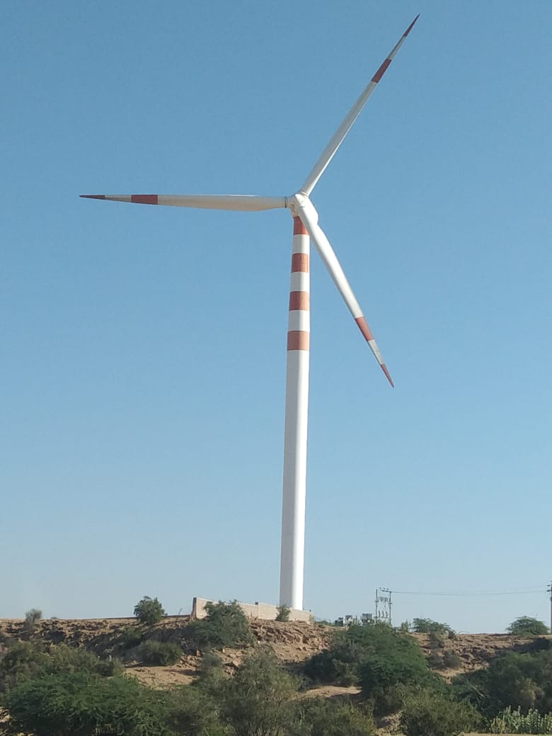 Holy Blood Education Services