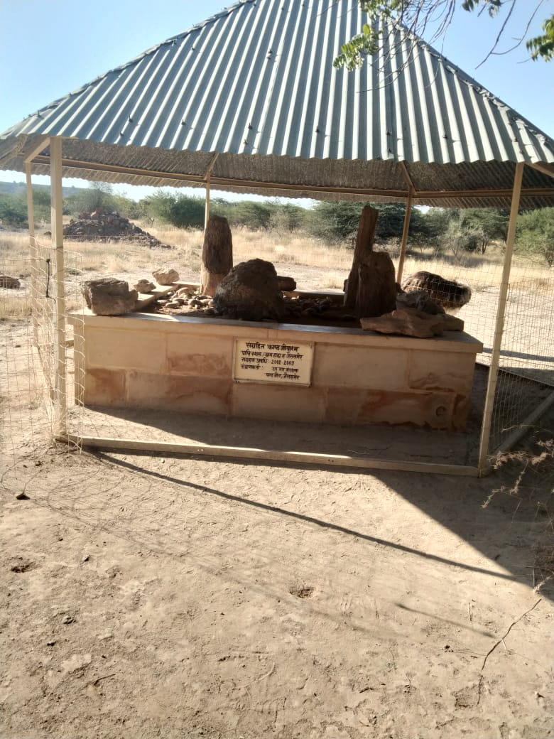 Holy Blood Education Services