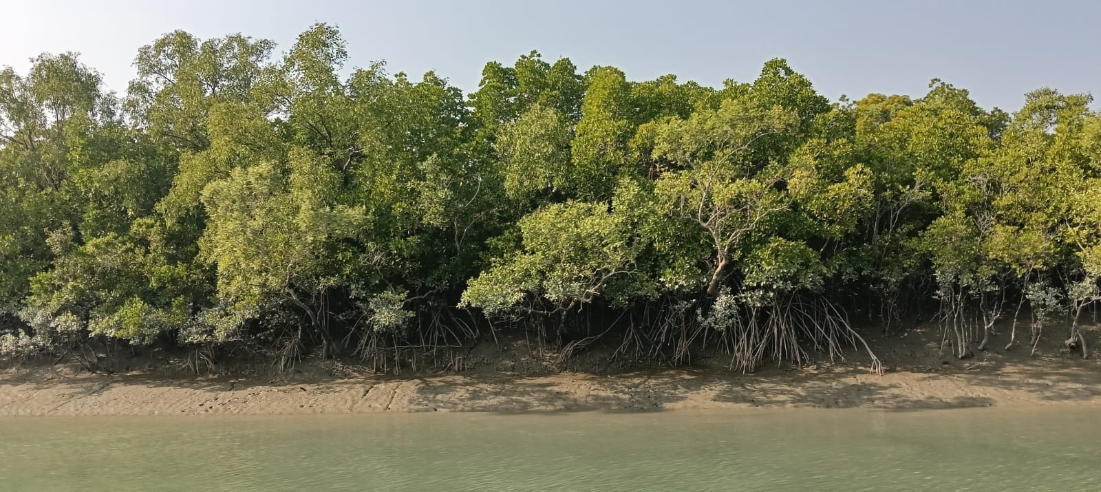 Journey Of Sundarbans