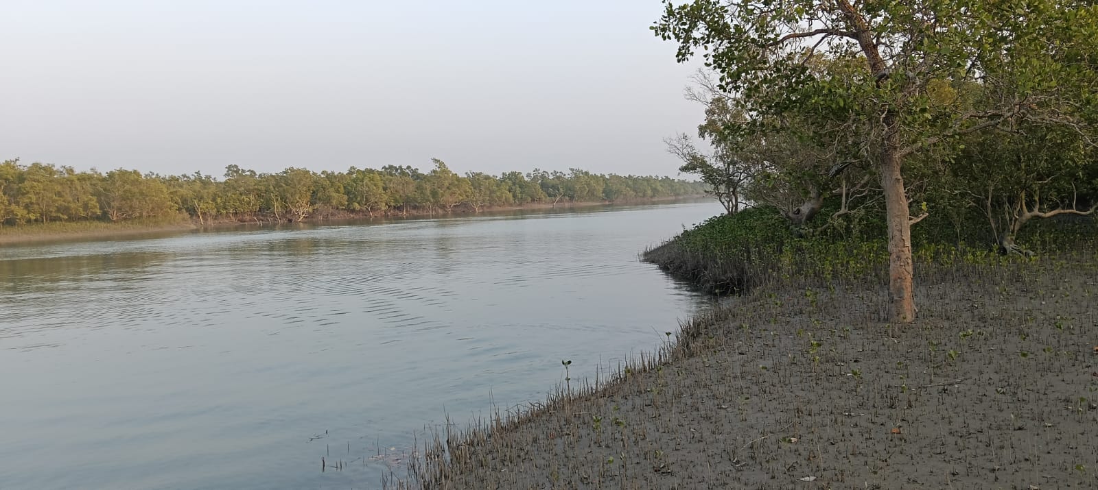 Journey Of Sundarbans