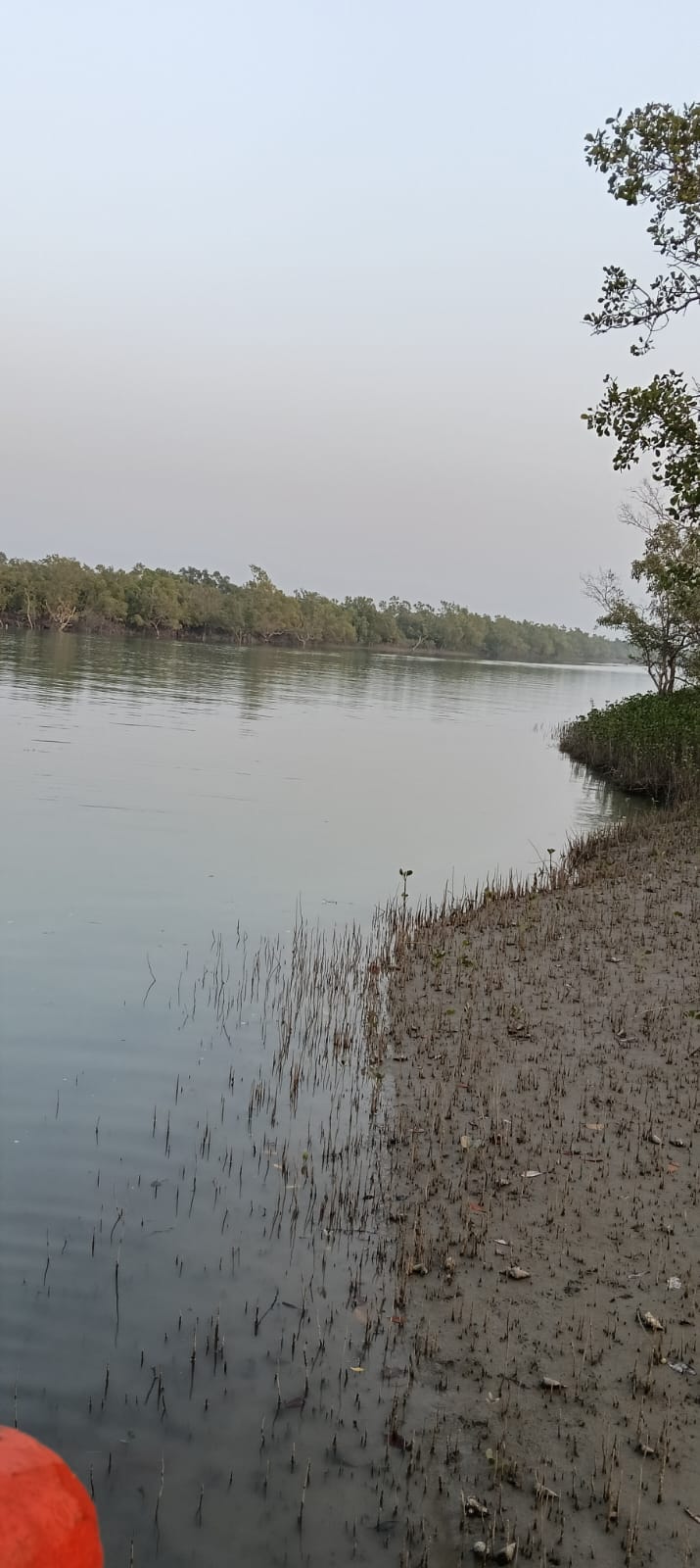 Journey Of Sundarbans