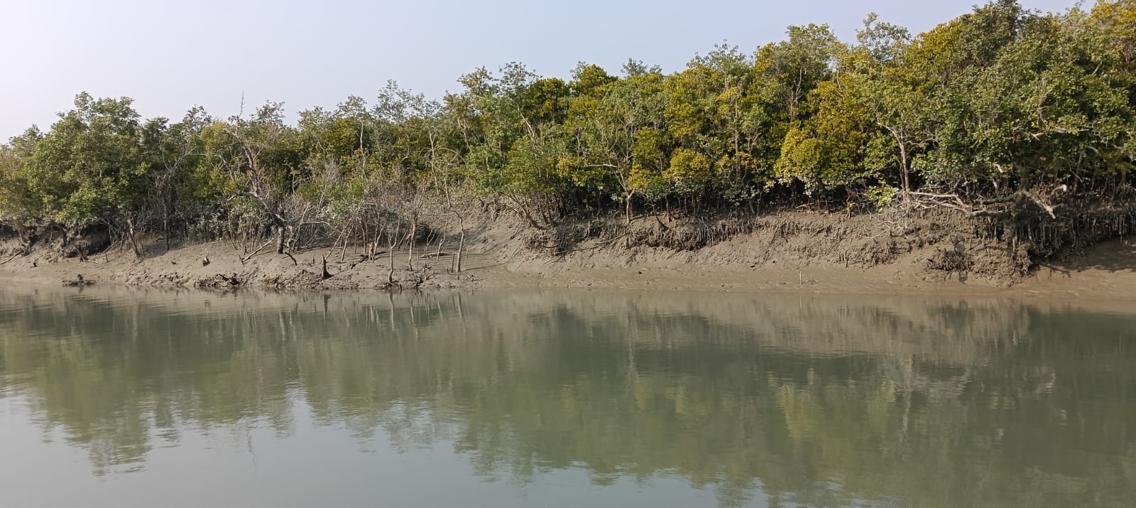 Journey Of Sundarbans