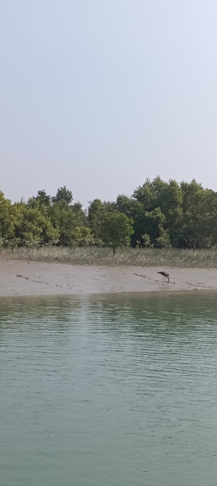 Journey Of Sundarbans