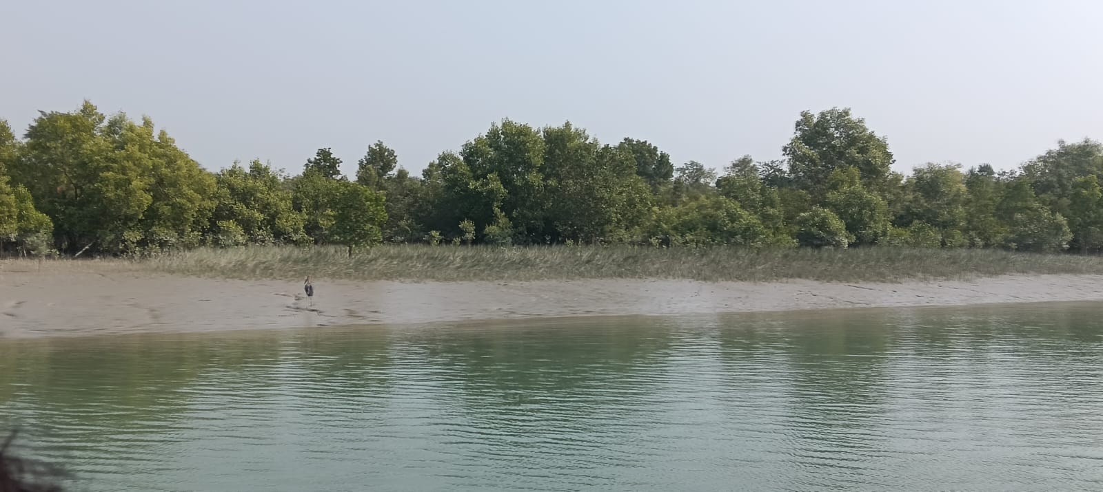 Journey Of Sundarbans