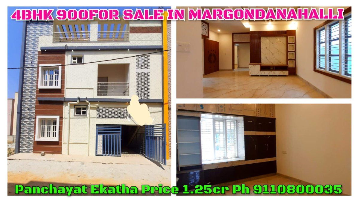 Real Reality (Rehoboth)