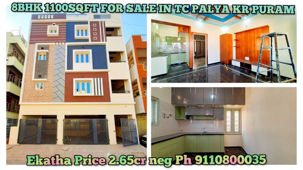 Real Reality (Rehoboth)