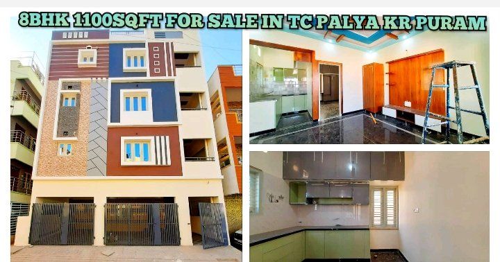 Real Reality (Rehoboth)