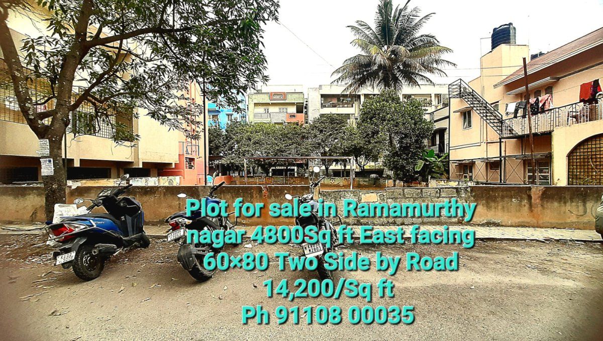 Real Reality (Rehoboth)