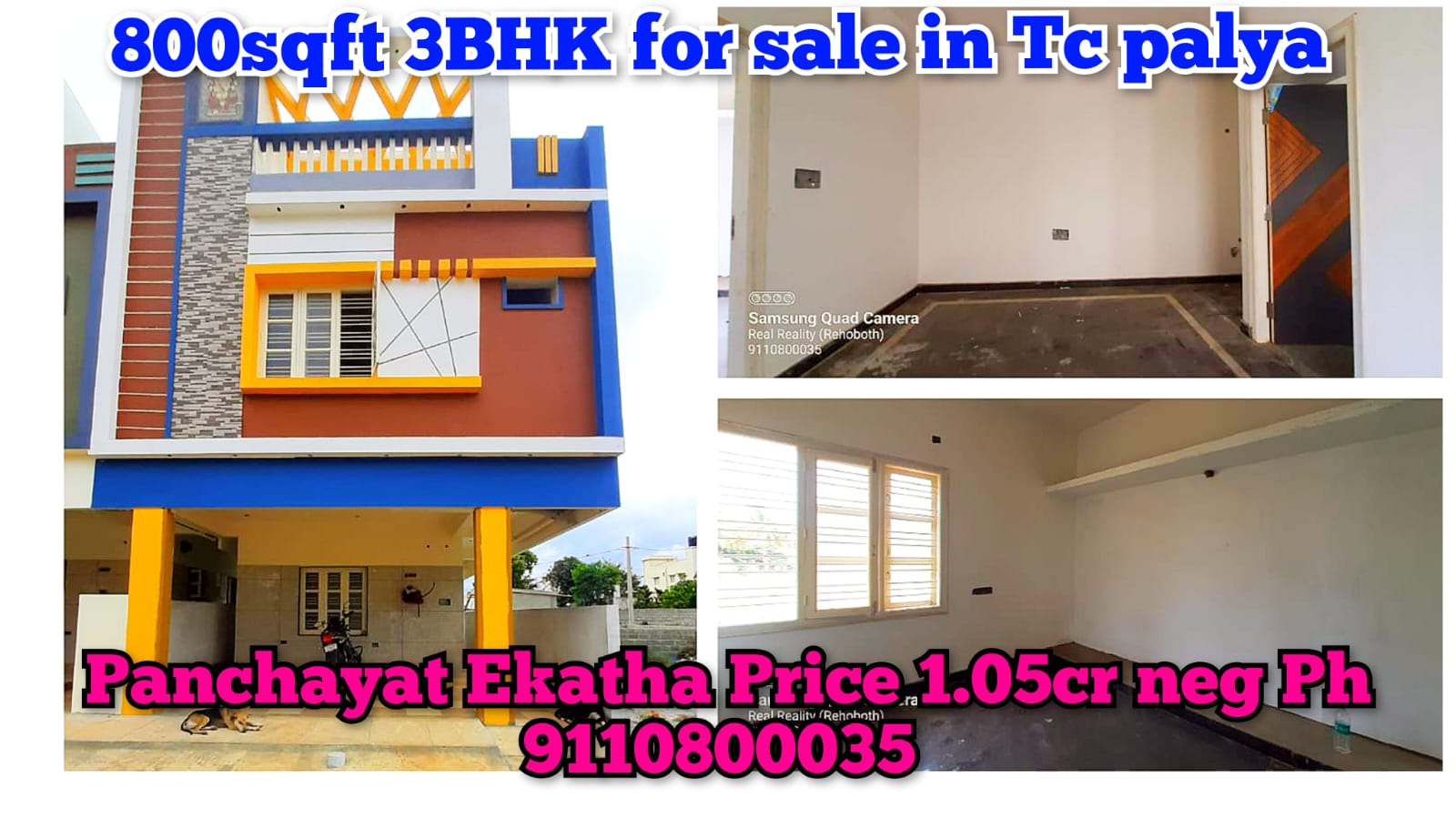 Real Reality (Rehoboth)