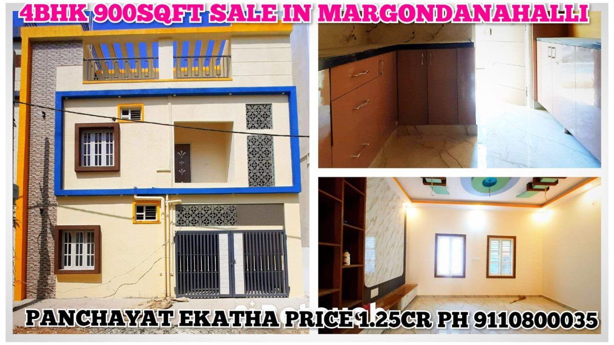 Real Reality (Rehoboth)