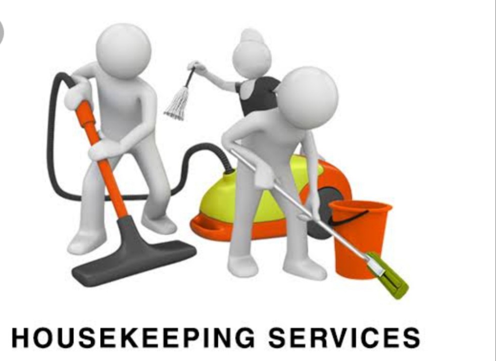 Aditya Placement Services