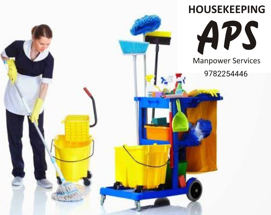 Aditya Placement Services