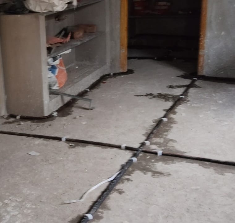 Blessing Pest Management Services Care