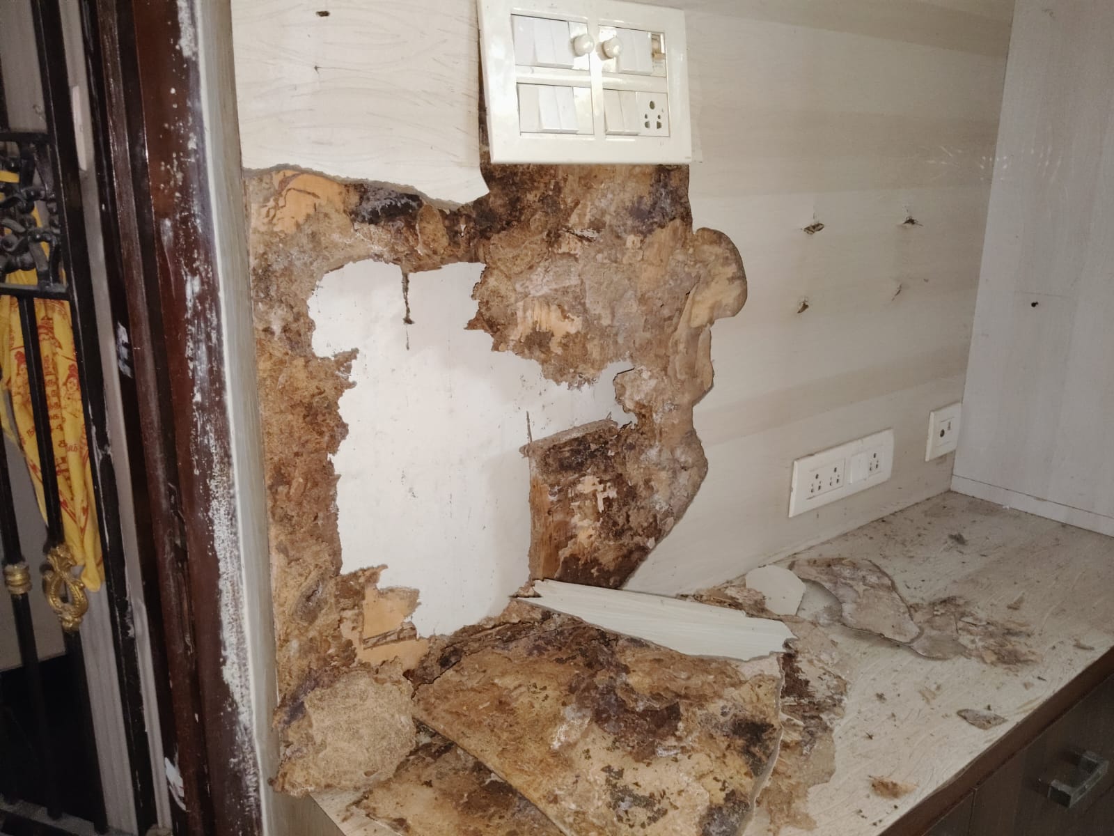 Blessing Pest Management Services Care