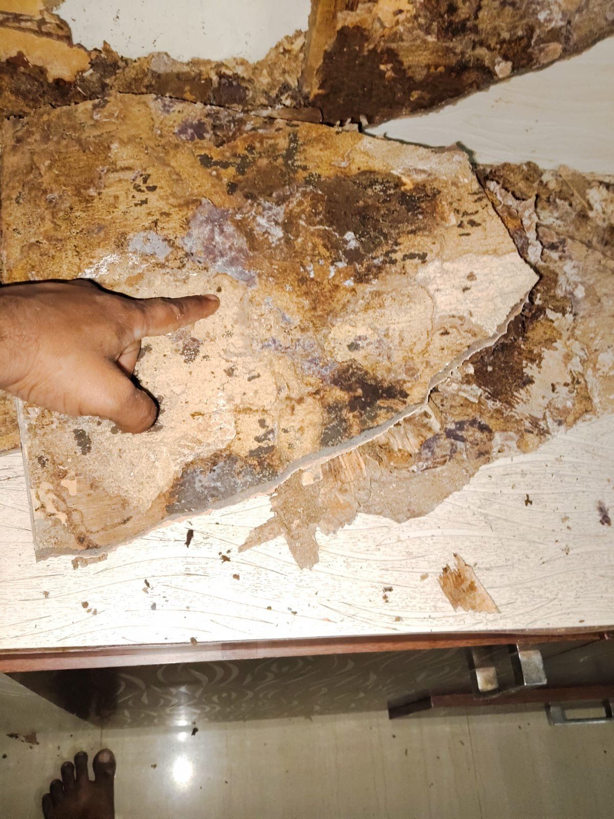 Blessing Pest Management Services Care