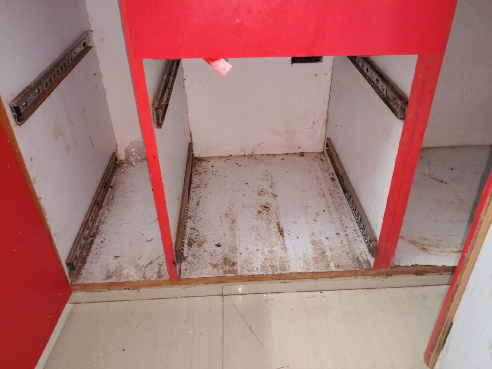 Blessing Pest Management Services Care