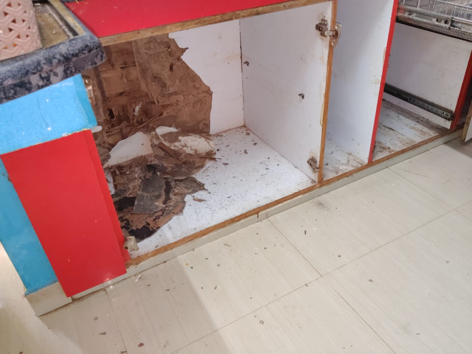 Blessing Pest Management Services Care