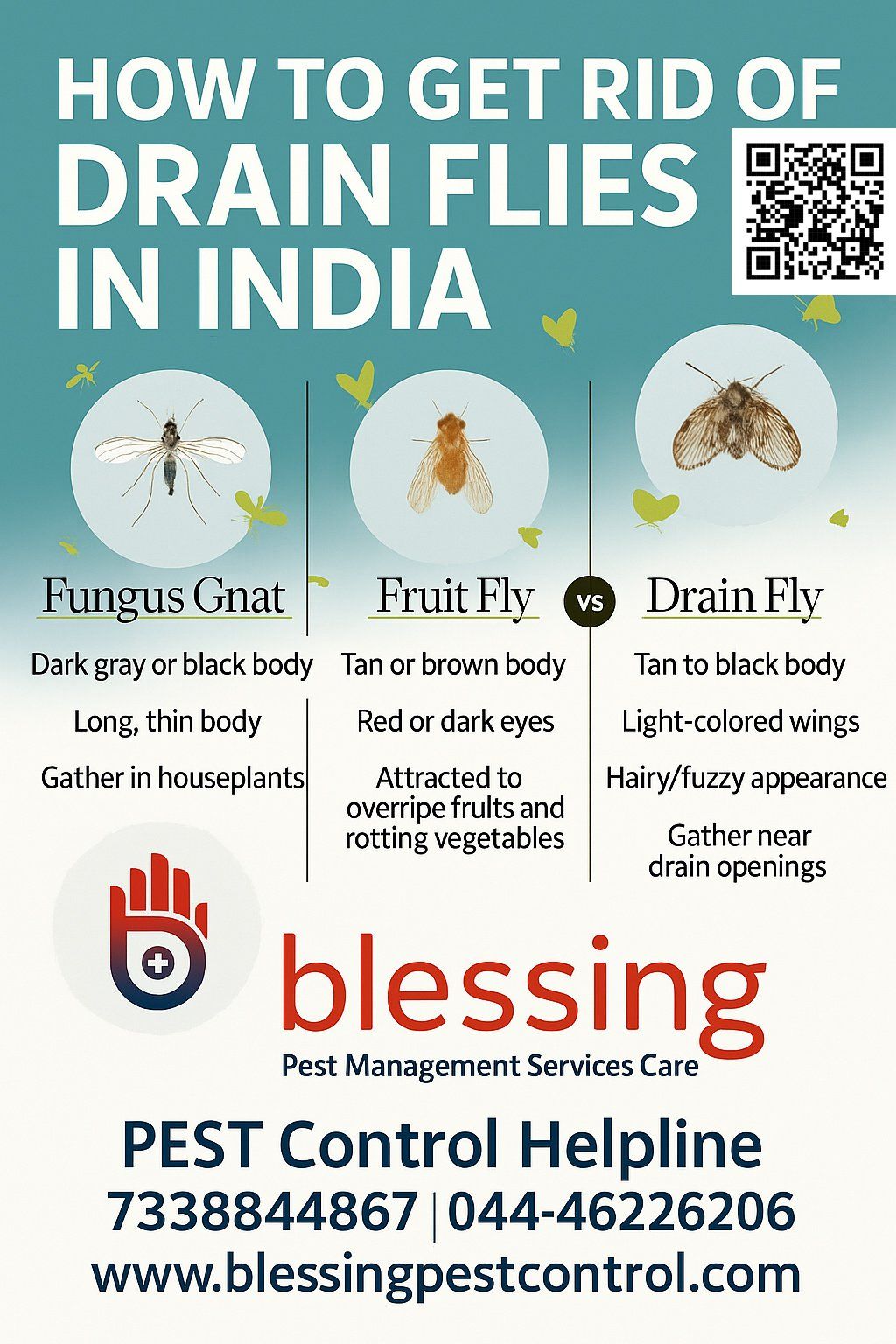 Blessing Pest Management Services Care