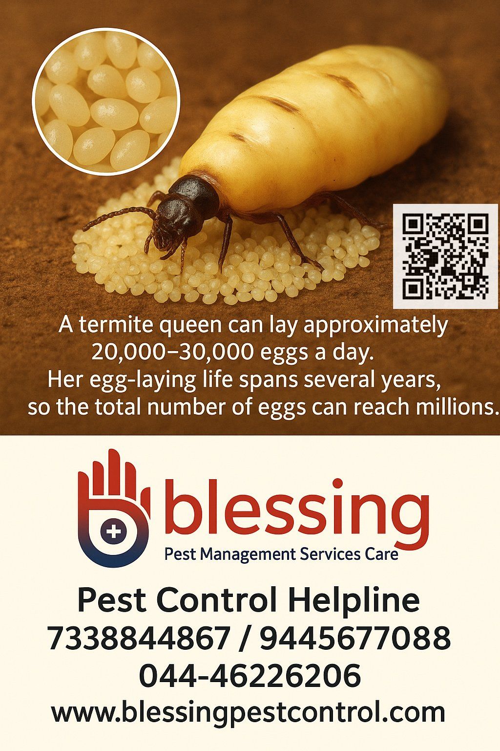 Blessing Pest Management Services Care