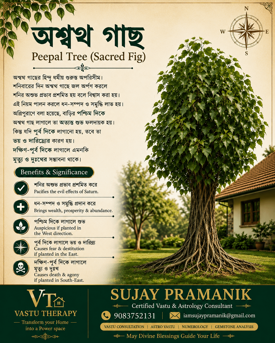 Vastu Therapy