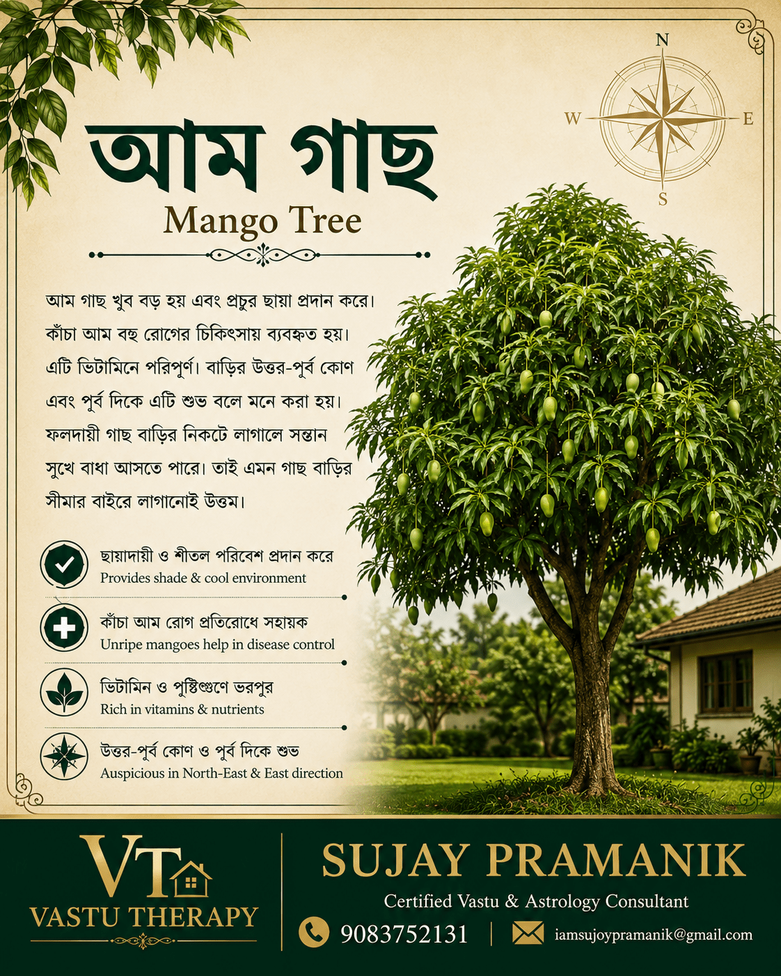 Vastu Therapy
