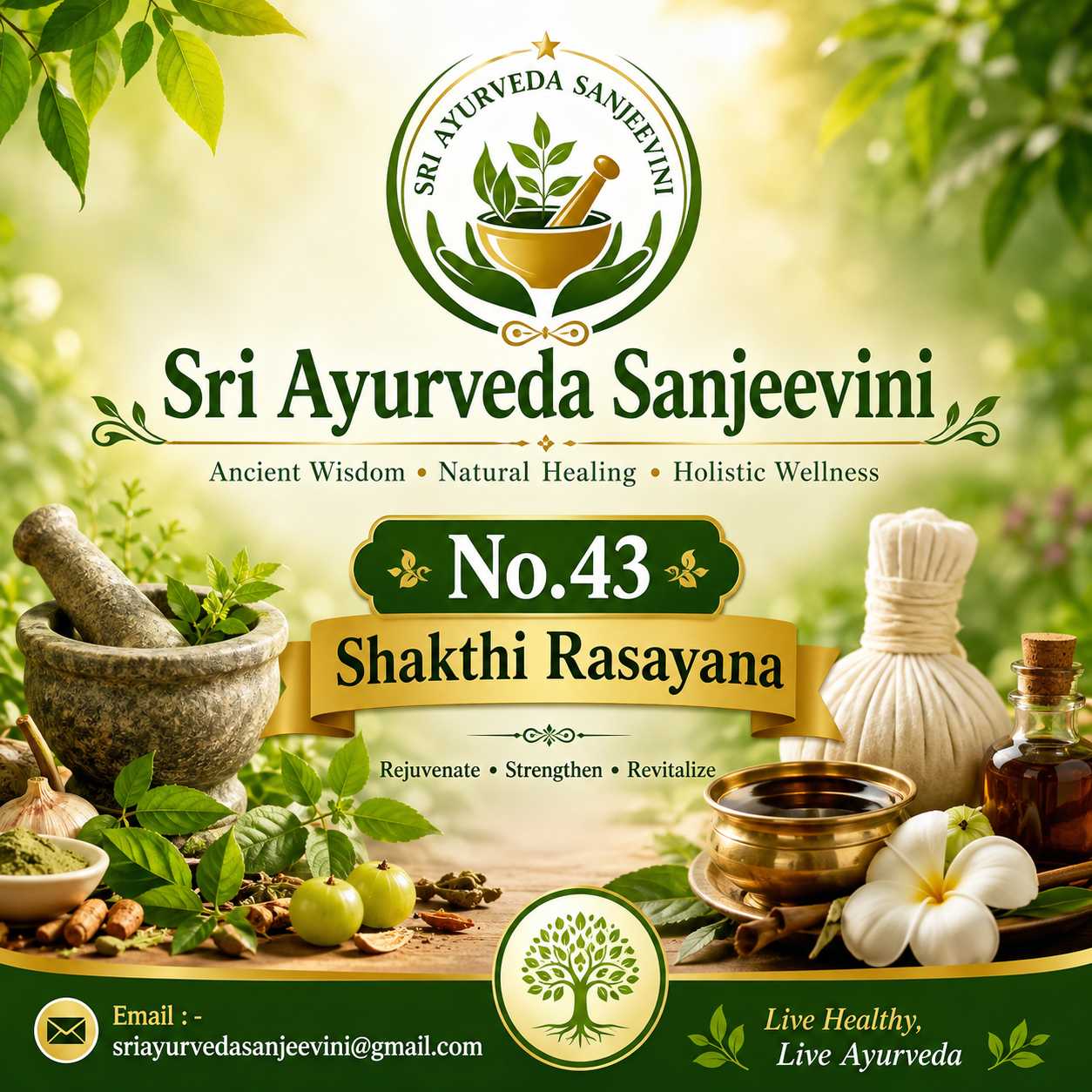 43. ಶಕ್ತಿರಸಾಯನ SHAKTHIRASAYANA - Image 1