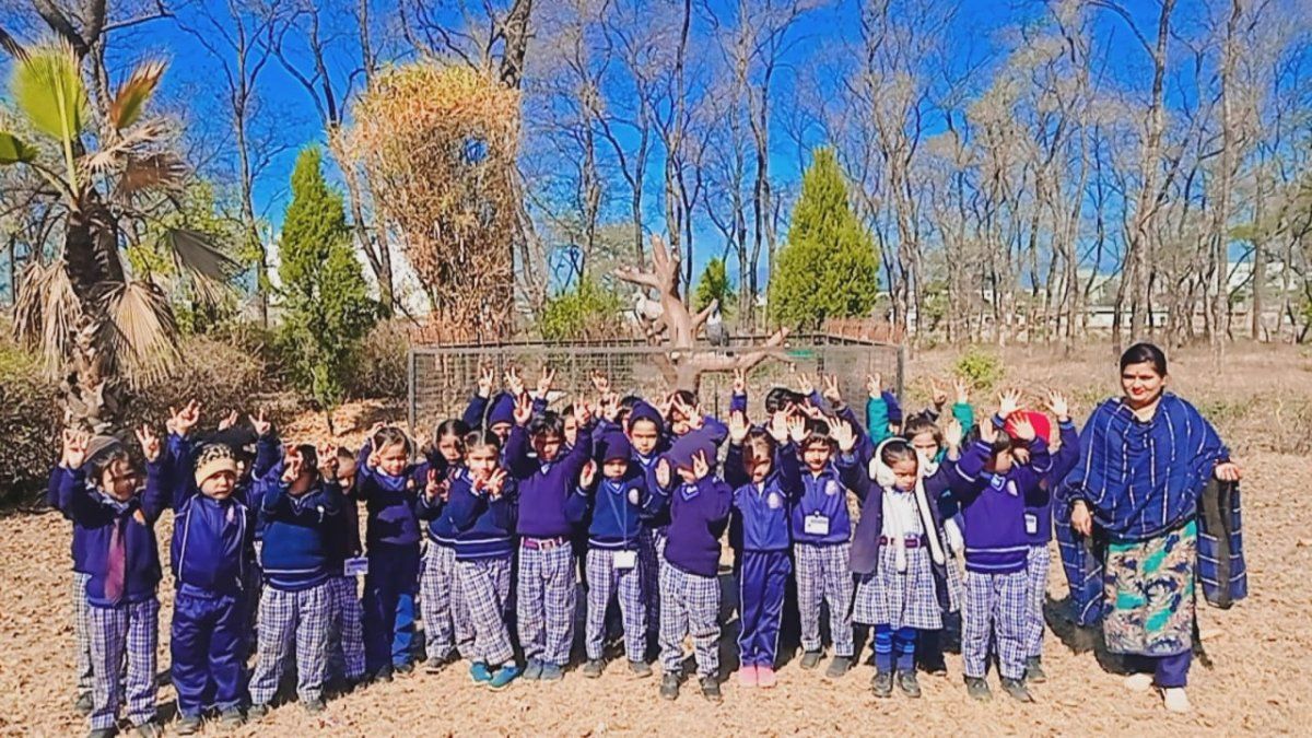 Jindal Public School