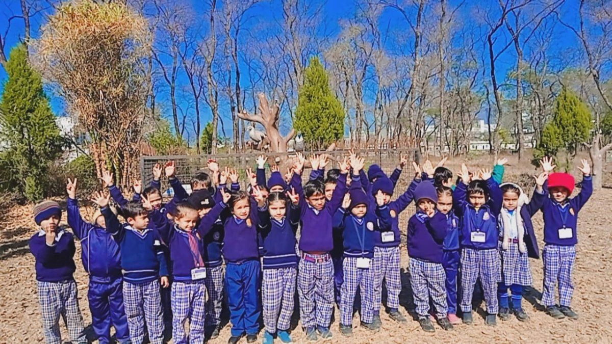 Jindal Public School