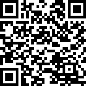 Mini Website Inquiries Tracker