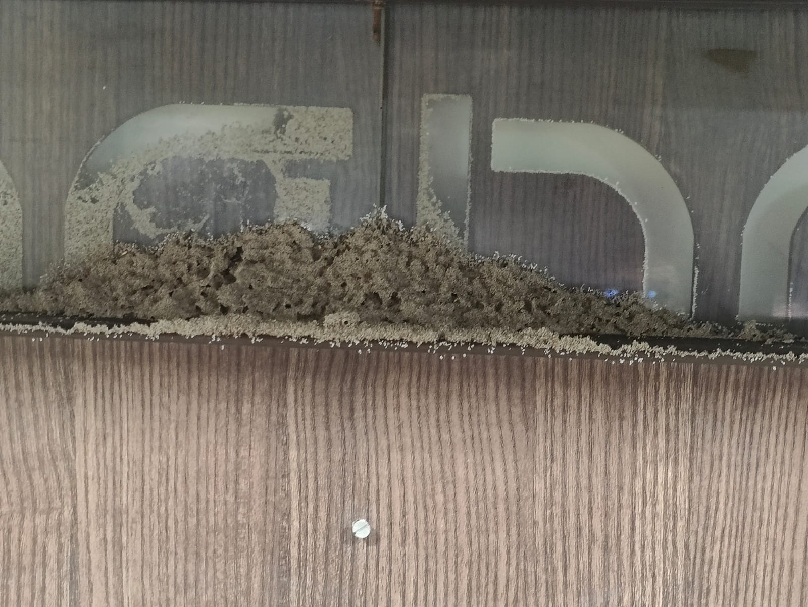 Saurabh Pest Control