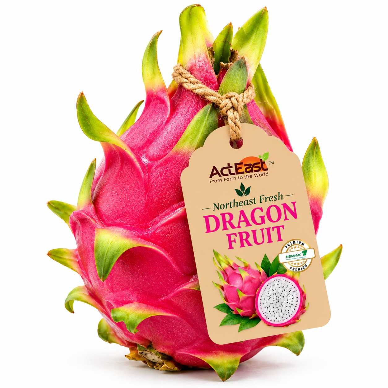 Dragon Fruit - Image 1