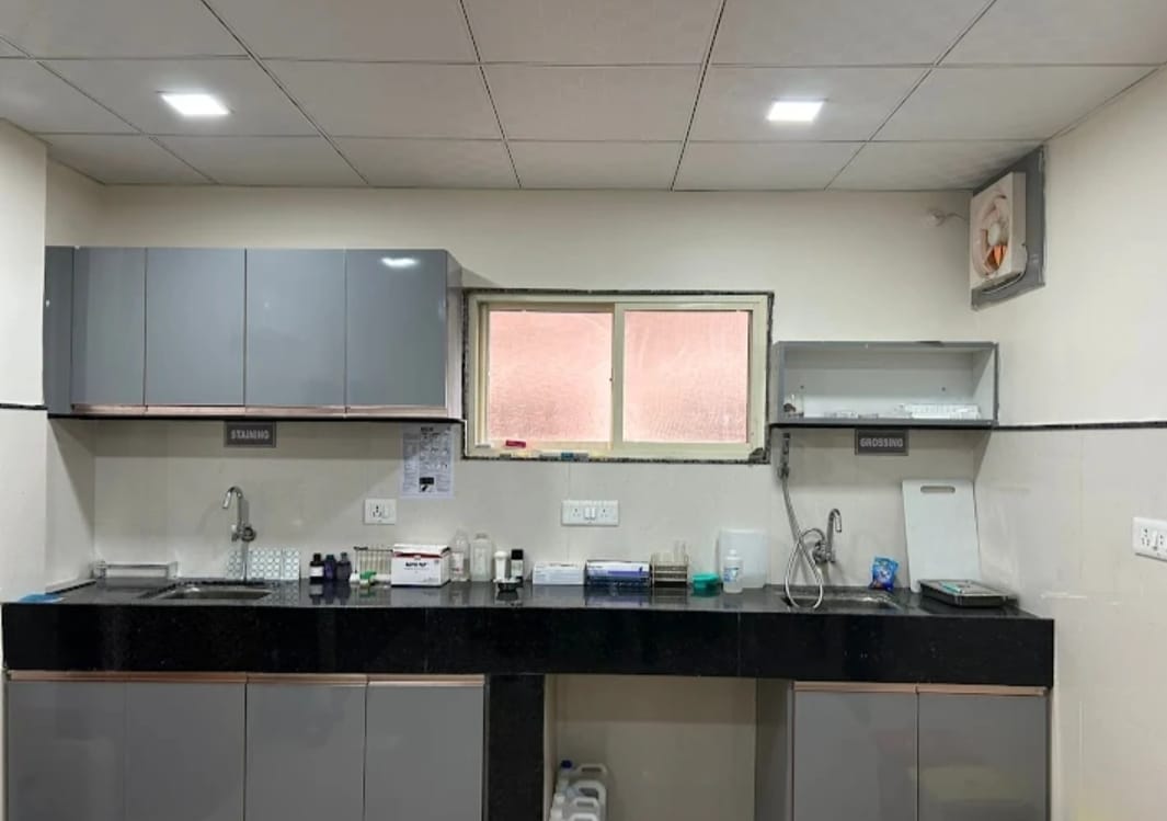 Marve Lab