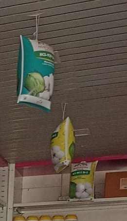 Danglours Pvc Advertising Balloons