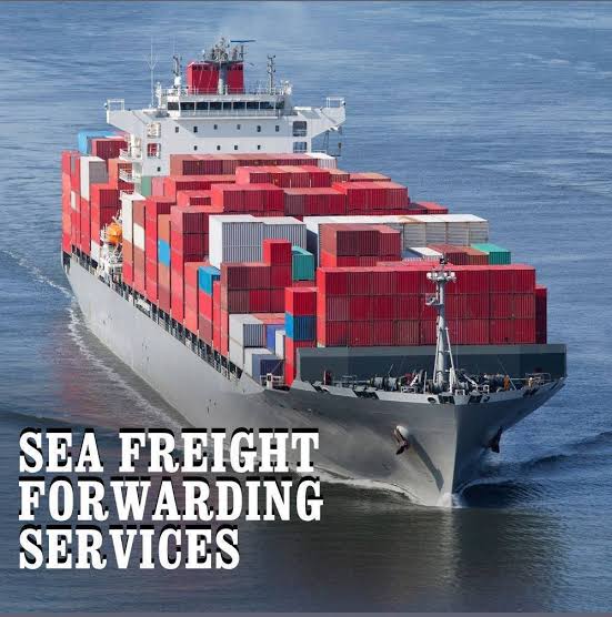 SURYA GLOBAL IMPORTS AND EXPORTS