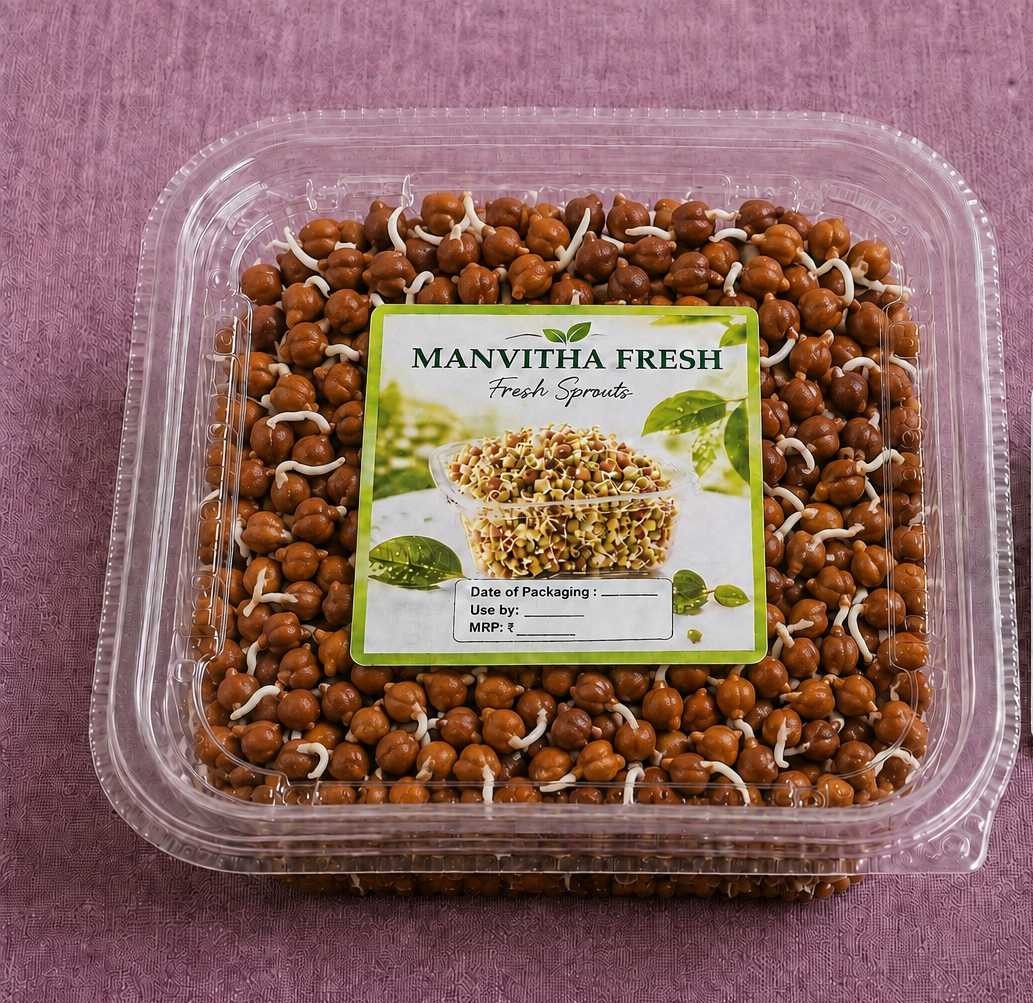 CHICKPEA SPROUTS - Image 1