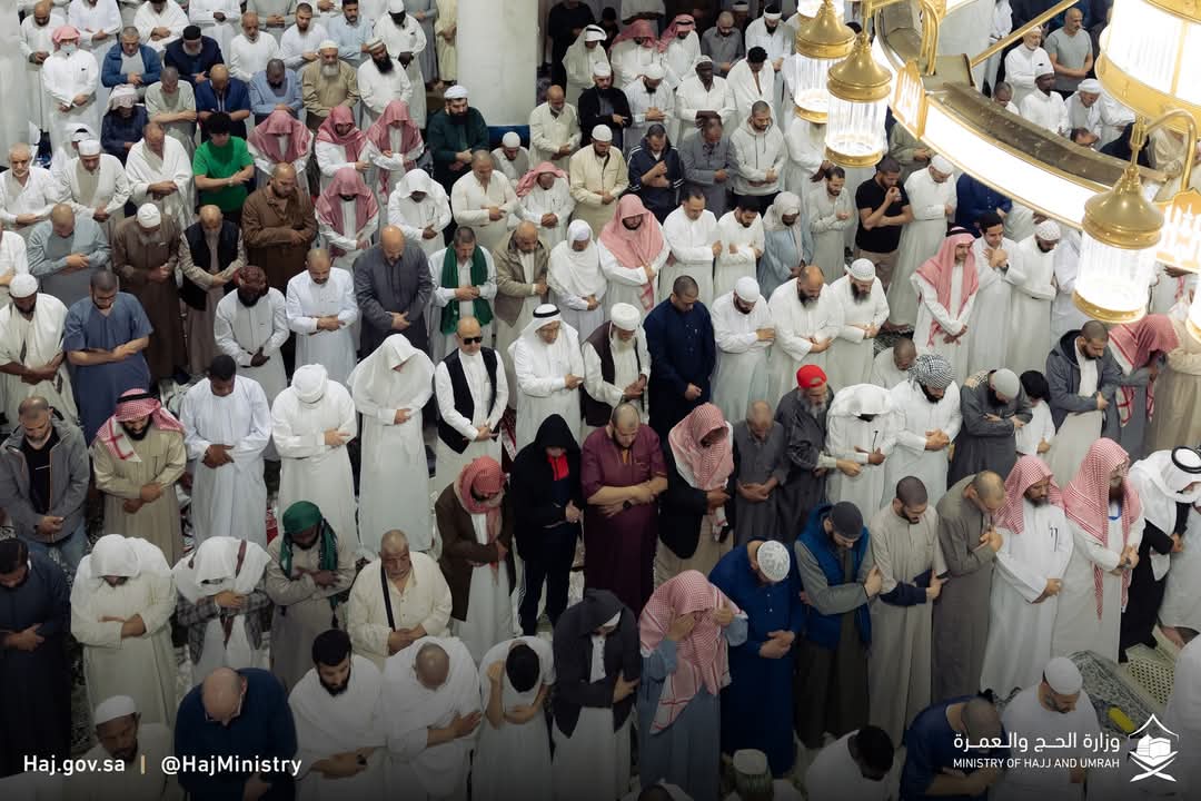 Al Saifi Travels