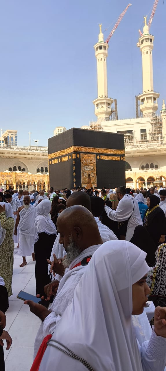 Al Saifi Travels