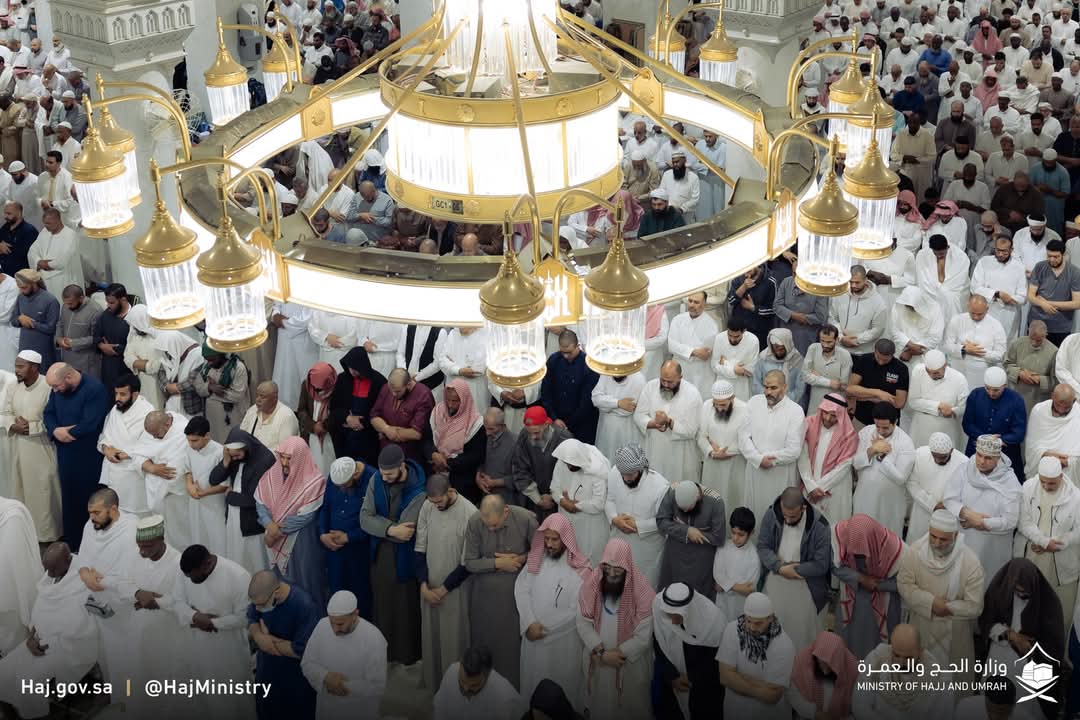 Al Saifi Travels