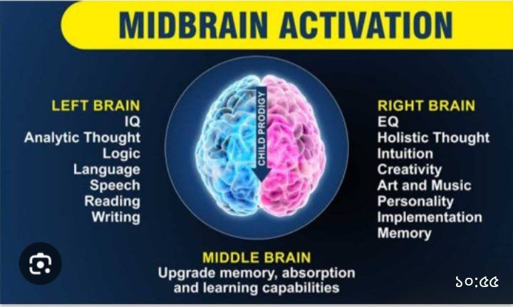 Next Level Mind Academy