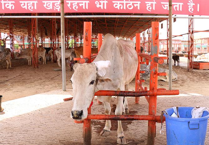 ANANT HARI SHANTI FOUNDATION