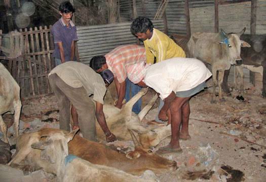 ANANT HARI SHANTI FOUNDATION