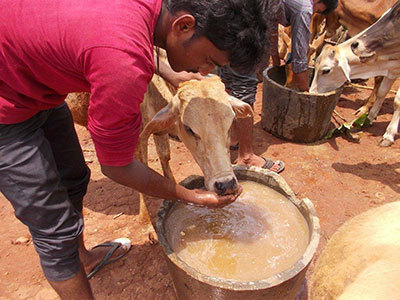 ANANT HARI SHANTI FOUNDATION