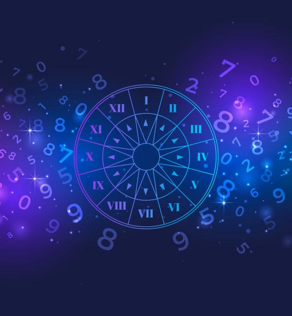 Shree's Vedic Astrology 369