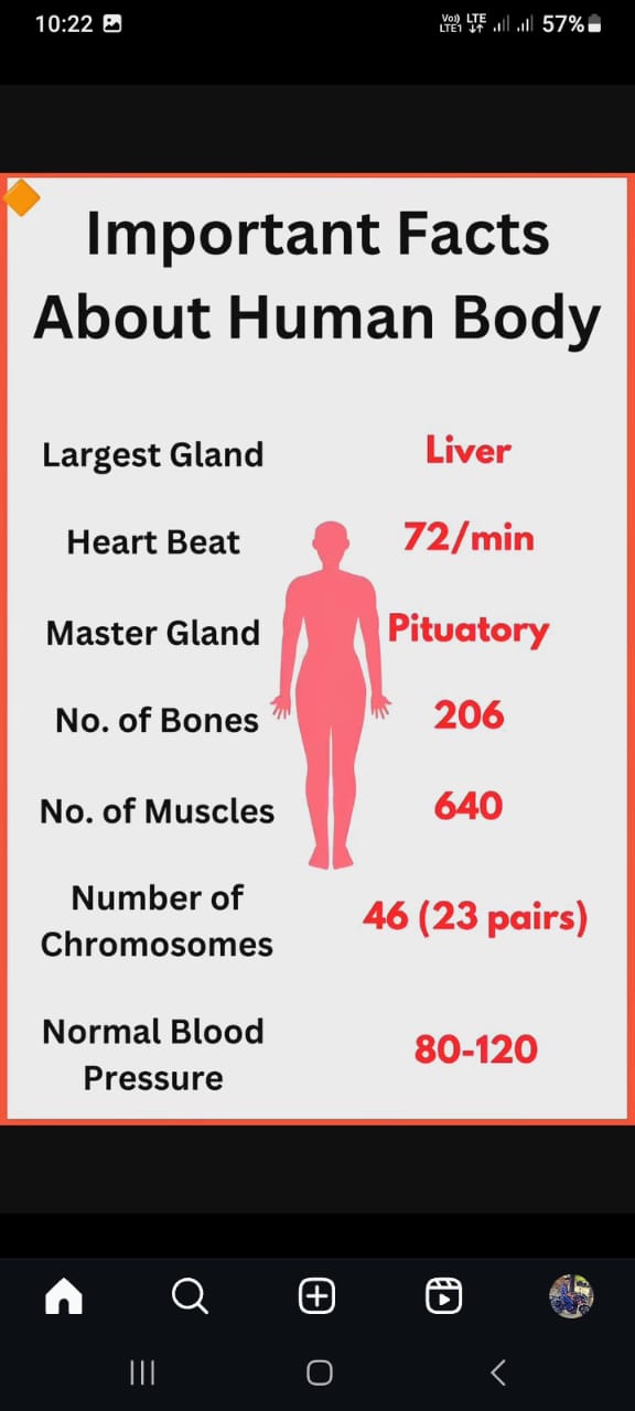 Aradhya Medical and Clinic